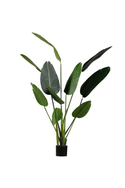 373819 G 01 VS FA Strelizia kunstplant groen 164cm EA