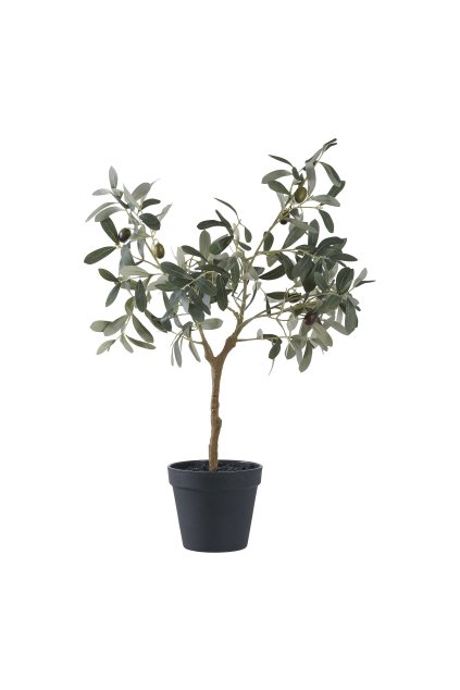Olivovník - umelá rastlina, zelená V:61 cm