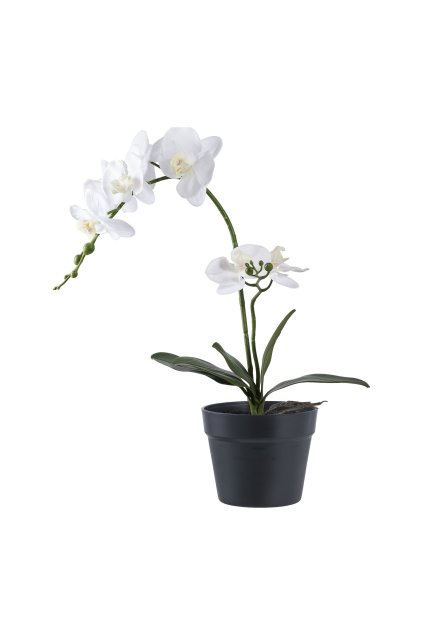 Orchidea - umelá rastlina, zelená/biela V:49 cm