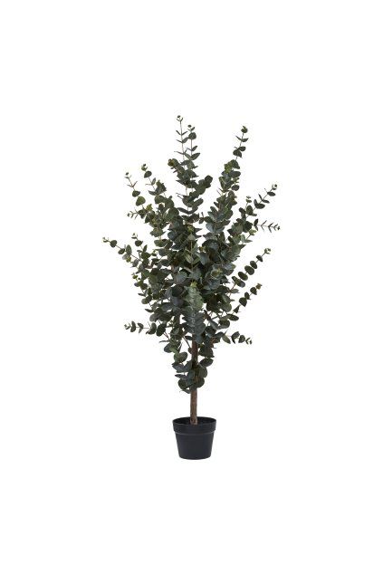 Eukalyptus strom - umelá rastlina, zelená H:120 cm
