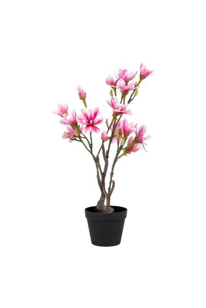 Magnólia strom - Umelá rastlina, rosa H:75 cm