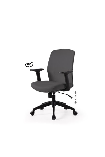 MARYLANDSKÁ SIVÁ KANCELÁRSKA STOLIČKA