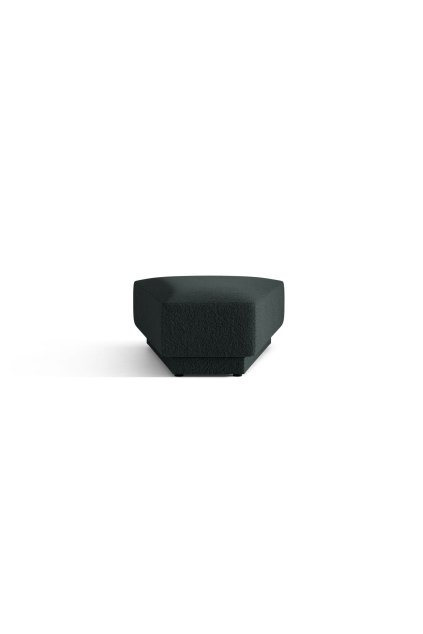 MIC RPOUF 101 F1 MILEY3 1