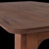 377948 B 04 VS Rubo eettafel 220x95cm mangohout bruin C2