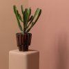 377881 L 377811 B 02 SF Luen plantenstandaard lichtroze Drava pot bruin vierkant