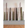 cactus dekoracia