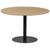 TB RO DL22 1190 373260 01 VS FA Tafelblad rond doorgaande lamel O120cm transparant Tablo ronde poot
