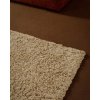 A25S116 020