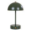 Stolná lampa Holt - Stolná lampa, dobíjacia, kovová, zelená/mosadz