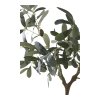 Olivovník - umelá rastlina, zelená V:61 cm
