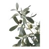 Olivovník - umelá rastlina, zelená V:61 cm