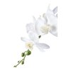 Orchidea - umelá rastlina, zelená/biela V:49 cm