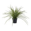 Tráva - umelá rastlina, zelená H:45 cm