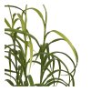 Trávna rastlina - Rastlina, zelená V:68 cm