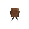 Lounge Chair Frie