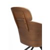 Lounge Chair Frie
