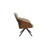 Lounge Chair Frie
