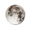 ZUIVER MOON koberec: 200 cm