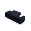 MIC RC 101 F1 LUPINE5 5