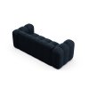 MIC 2S 101 F1 LUPINE5 4