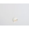 popo l1 lampa