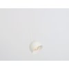 popo l1 lampa
