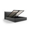 MIC BF180 51 F1 AGATE6 6