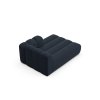 MIC CHR 214 F1 LUPINE5 4