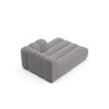 MIC CHR 214 F1 LUPINE6 4