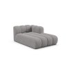 MIC CHR 214 F1 LUPINE6 3