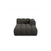 MIC CHR 214 F1 LUPINE7 1