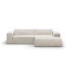 MIC COV RC M 259 JODIE1 1