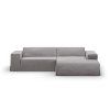 MIC COV RC M 259 JODIE6 1