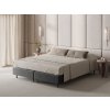 MIC B160x200 88 F2 WHALE6 BG