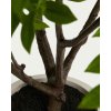 rhus umely kvet