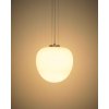 ardali 25 visica lampa